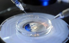 上海国妇婴做试管不需要结婚证了是真的吗（上海国妇婴和红房子哪个好）