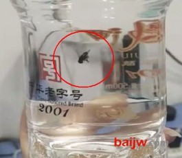 西凤酒回应未开封白酒出现苍蝇：需进行真伪鉴定