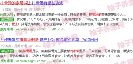 排骨汤的家常做法大全(排骨汤的家常做法视频 )