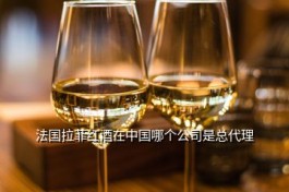 法国拉菲红酒在中国哪个公司是总代理