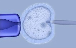 重庆私人机构做供卵三代试管婴儿医院价格多少钱(重庆三代试管最好的医院)