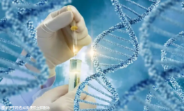  试管婴儿检查免疫检查什么(试管检查免疫是查哪项)