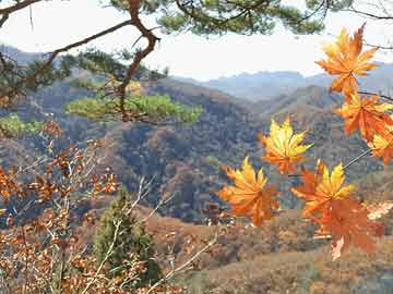 劳动节生孩子的风俗讲究参考(2024年五一生娃运势解读)